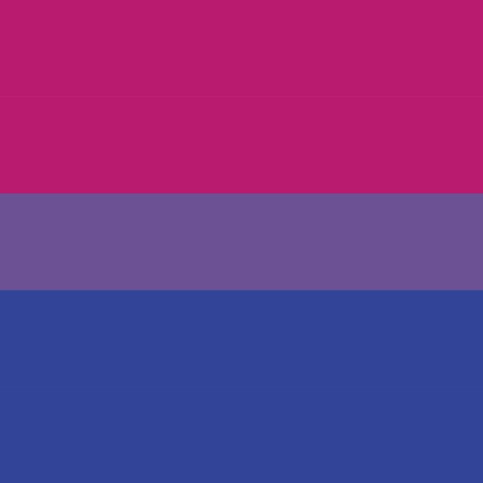 Modern bisexual flag