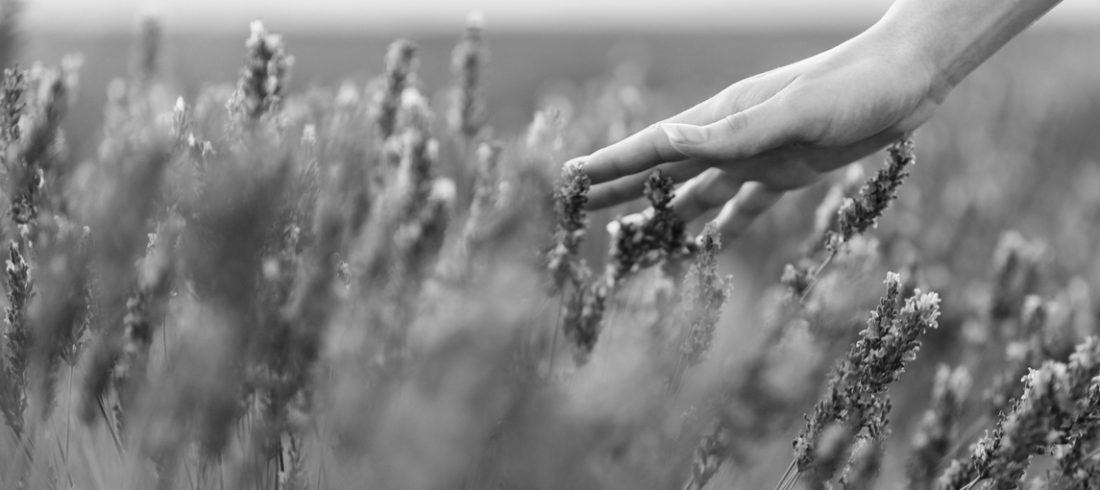 Woman walking in a field as her hand touches flowers