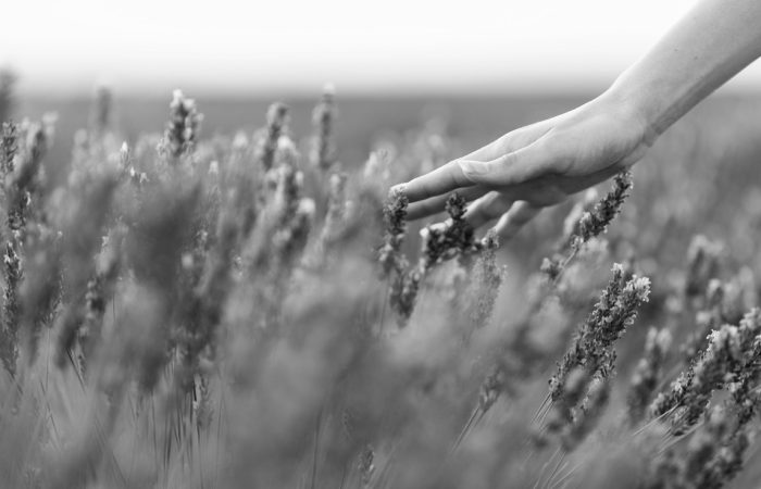 Woman walking in a field as her hand touches flowers