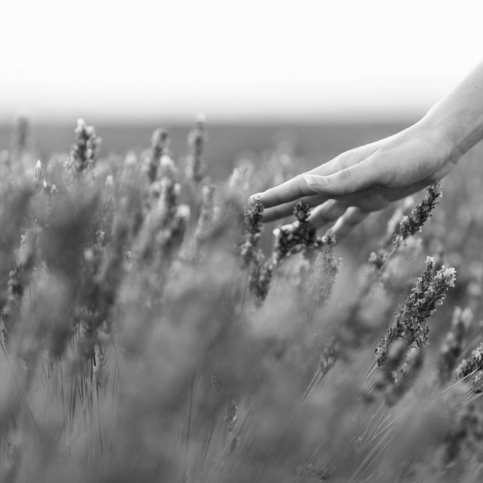 Woman walking in a field as her hand touches flowers