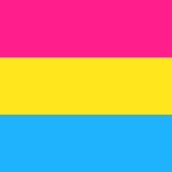 Pansexual pride flag - one of a communities of LGBT sexual minority.